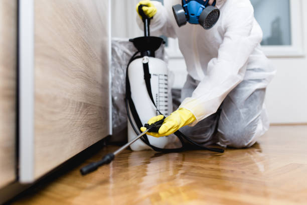 Best Rat Extermination Near Me  in Stockton University, NJ