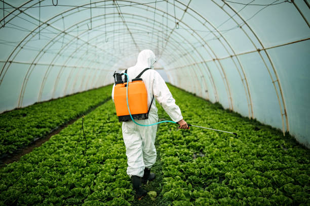 Best Commercial Pest Control Services  in Stockton University, NJ