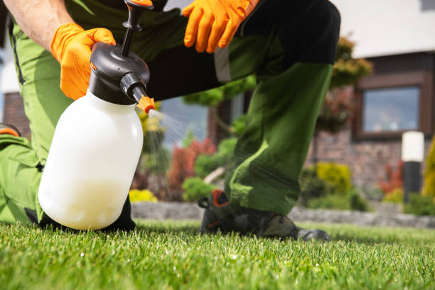 Best Affordable Pest Control Services  in Stockton University, NJ