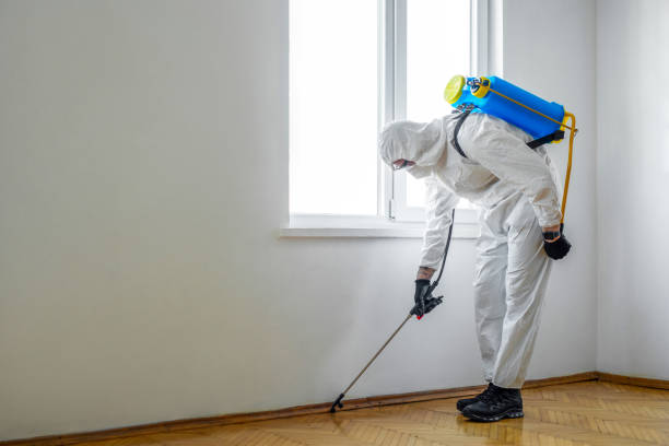 Best Pest Inspection Near Me  in Stockton University, NJ