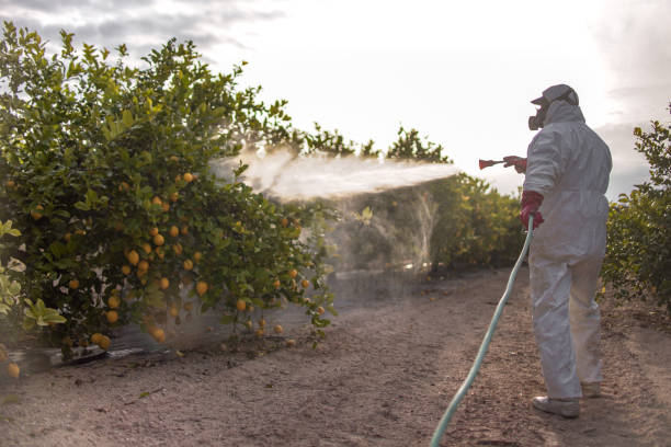 Best Exterminator Services  in Stockton University, NJ