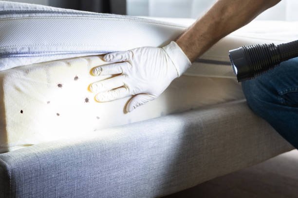 Best Pest Control Near Me  in Stockton University, NJ