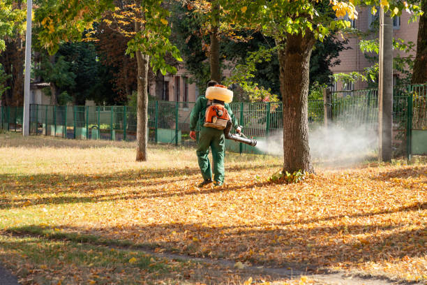 Best Residential Pest Control  in Stockton University, NJ