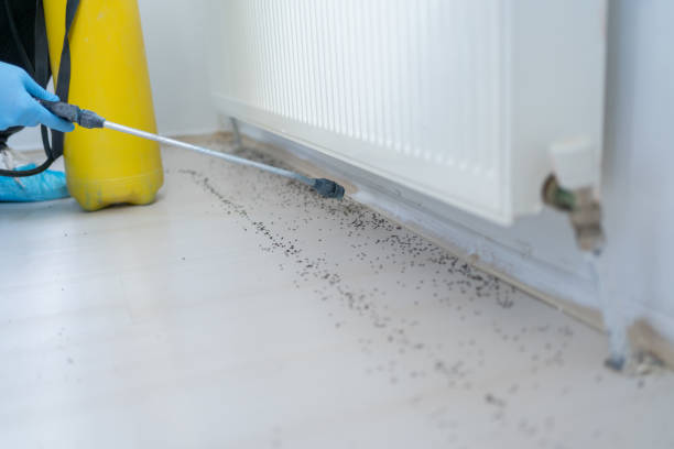 Best Wasp Removal Services  in Stockton University, NJ