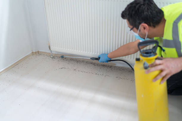 Best Ant Control Services  in Stockton University, NJ
