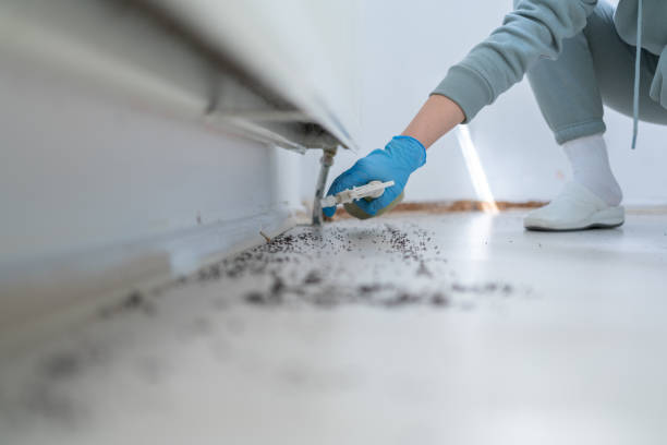 Best Best Pest Control Companies  in Stockton University, NJ